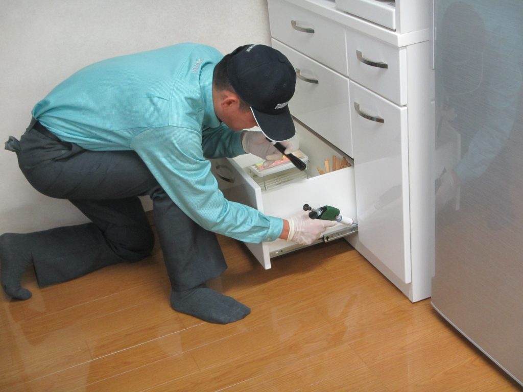 ダスキン深谷上ターミニックス家庭用ゴキブリ駆除サービスです。